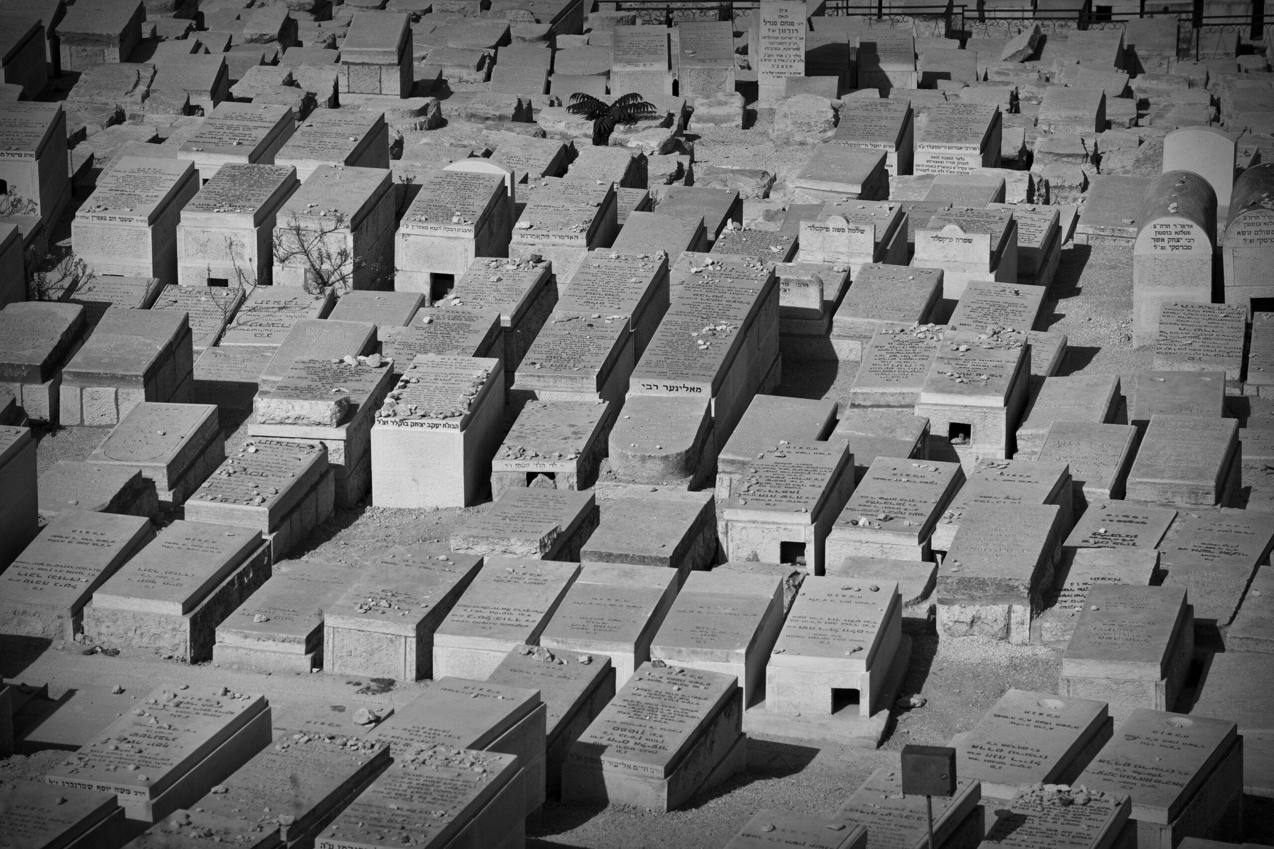 Izrael2010_foto_Szanyi_Gergo_IMG_3513