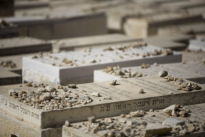 Izrael2010_foto_Szanyi_Gergo_IMG_3527