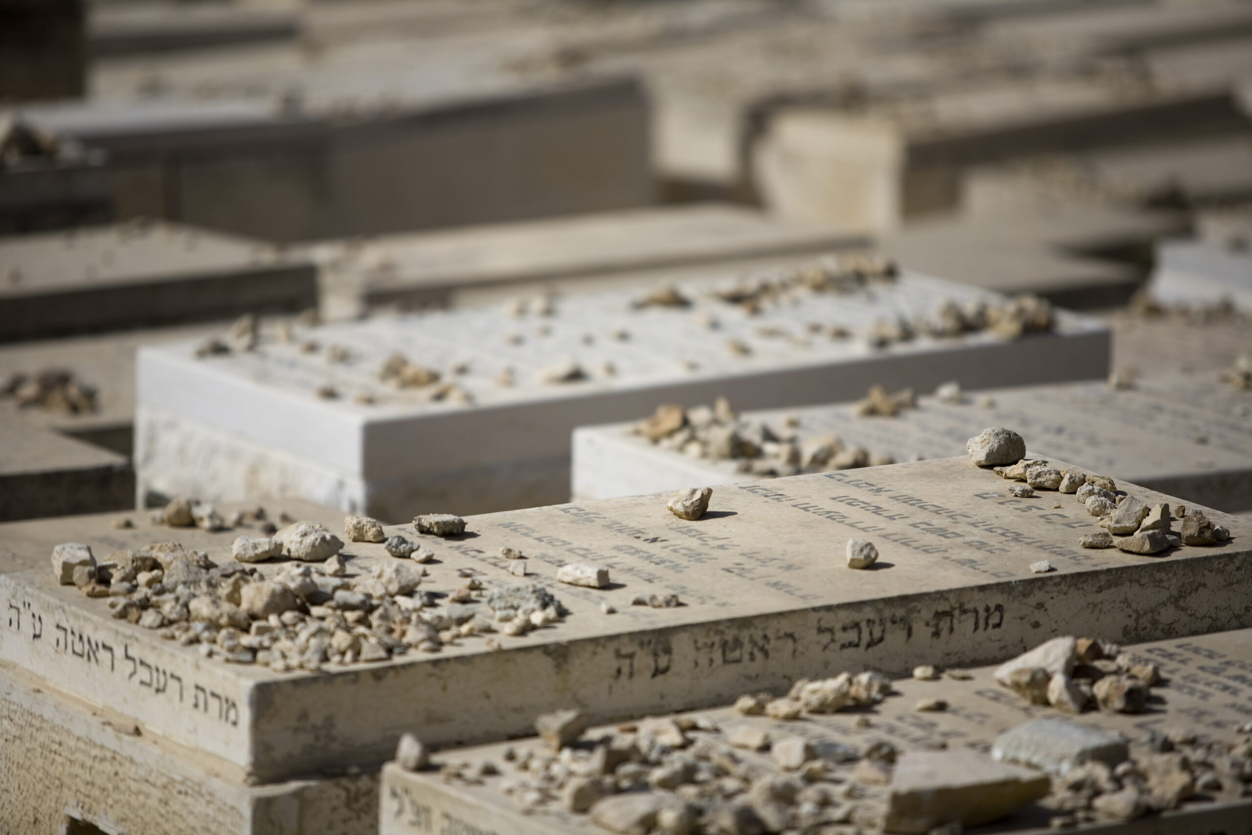 Izrael2010_foto_Szanyi_Gergo_IMG_3527