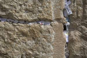 Izrael2010_foto_Szanyi_Gergo_IMG_3583