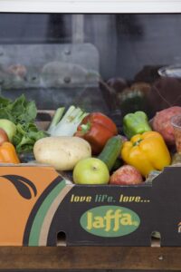 SteinerKristofIzraelben16