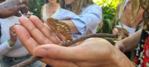 MADA2023_NosyKomba_park1