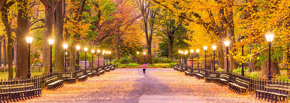 Central,Park,At,The,Mall,In,New,York,City,During