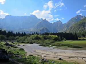 fusine1