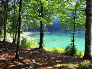 fusine10