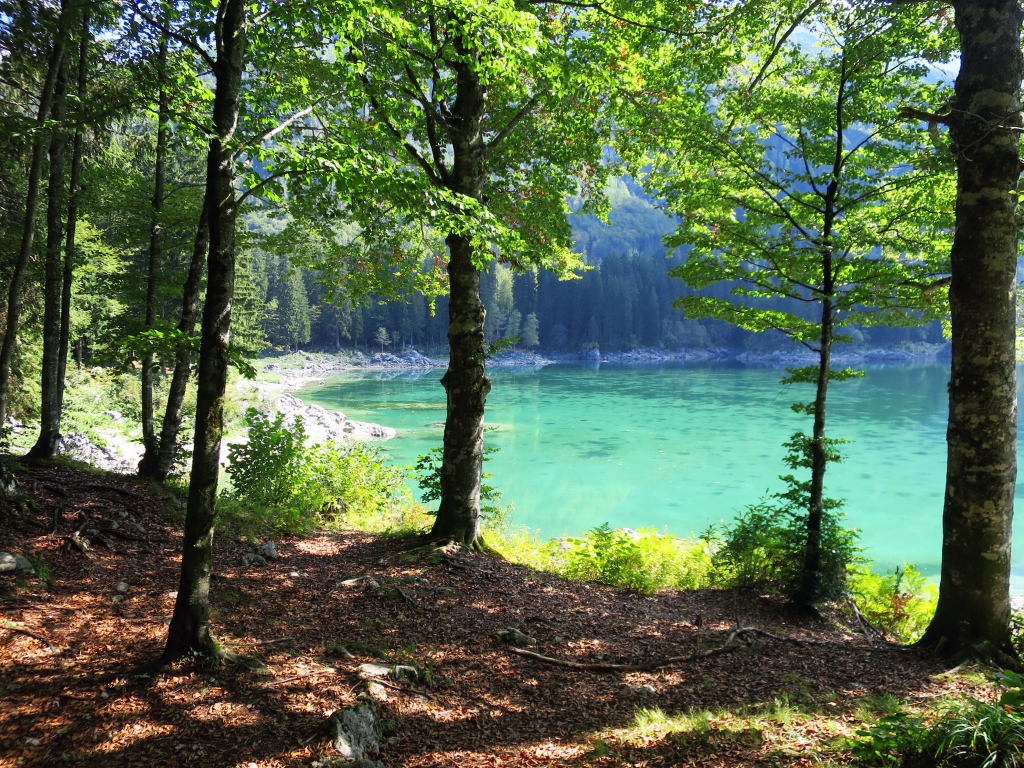 fusine10