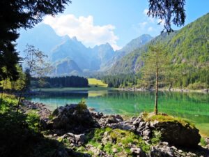 fusine12