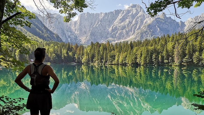 fusine2