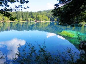 fusine9