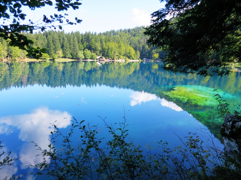 fusine9