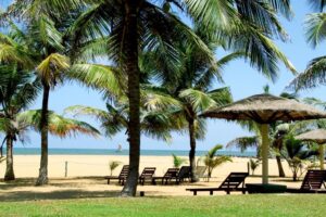 goldisand negombo5