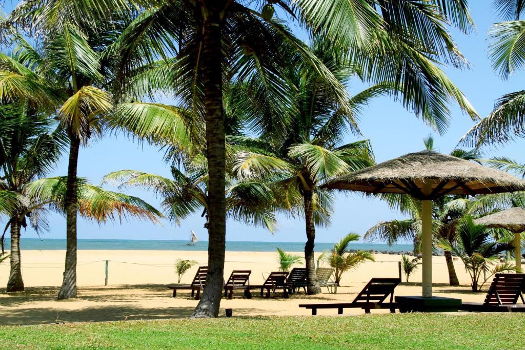 goldisand negombo5