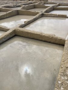 IMG_0735