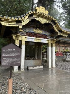IMG_3121
