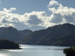 IMG_3941